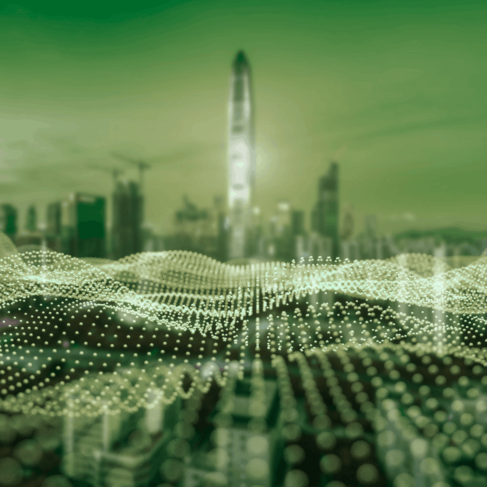 6 20260114 001344 ٠٠٠٥